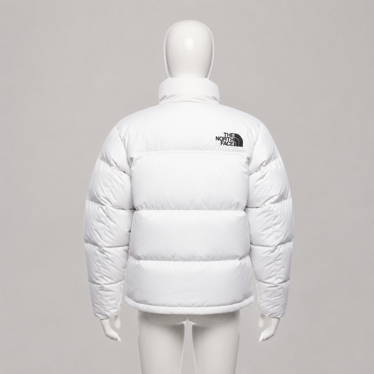 The North Face Nuptse 700 Puffer Jacket in White - view 2