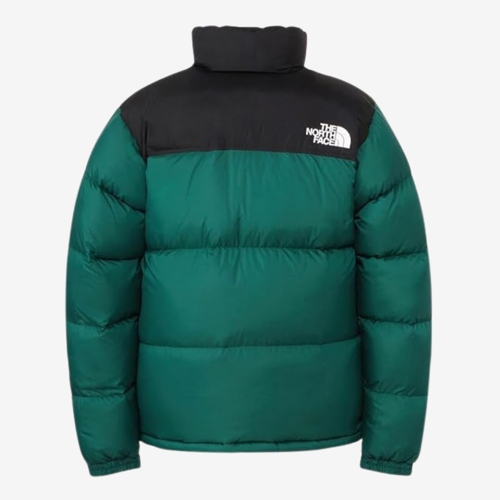 The North Face Nuptse 700 Puffer Jacket in Green and Black - view 2