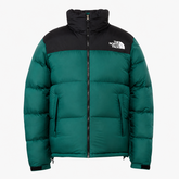 The North Face Nuptse 700 Puffer Jacket in Green and Black