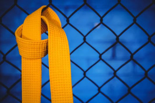 BJJ Belt Lineage: Why It Matters and What to Look For