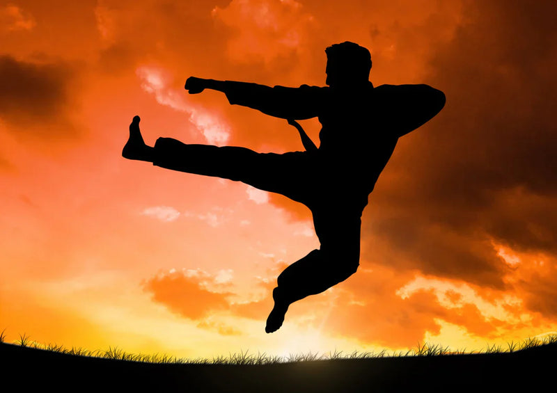 Jiu-Jitsu vs Kung Fu: Which Martial Art Is More Effective in a Fight?