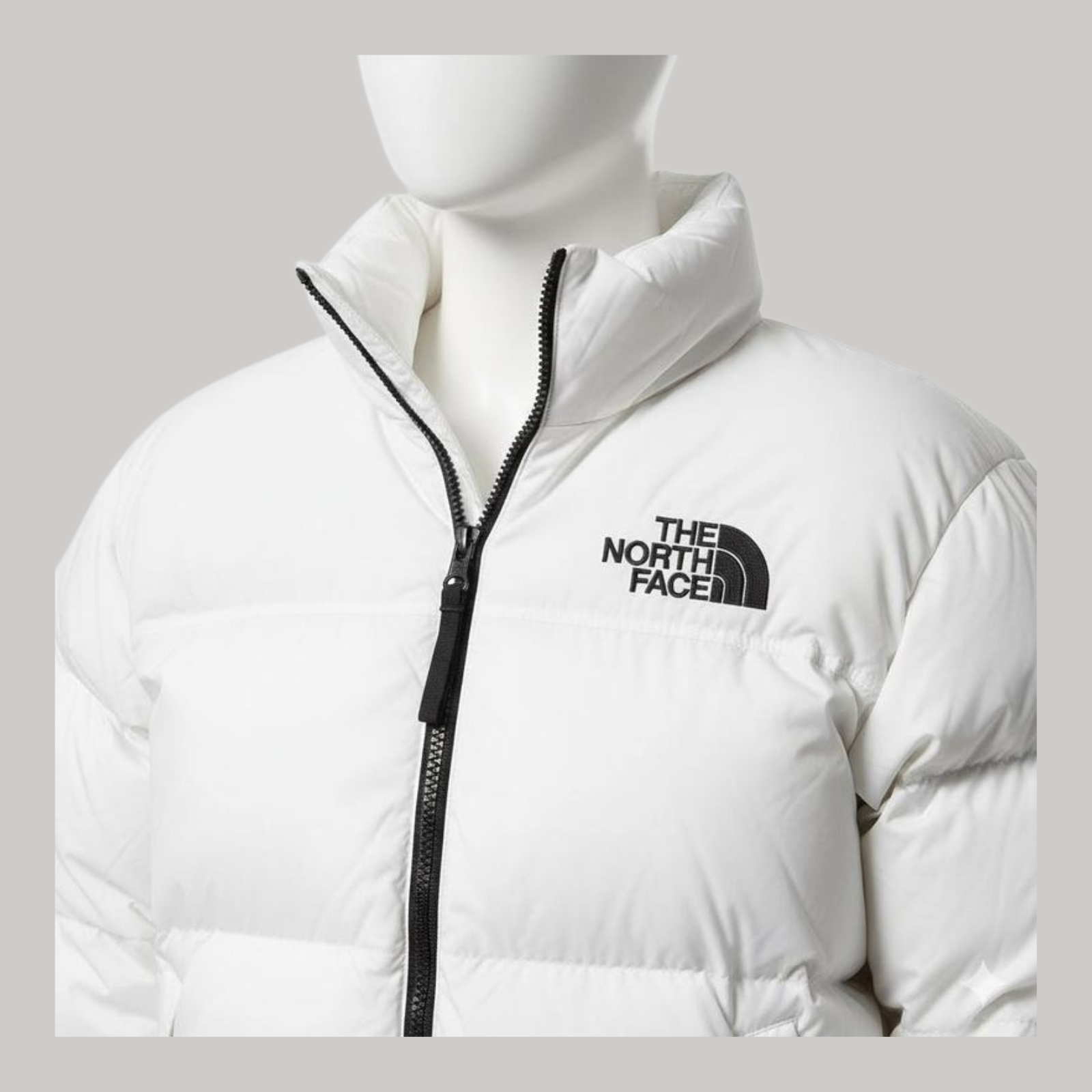The North Face Nuptse 700 Puffer Jacket in White - view 3