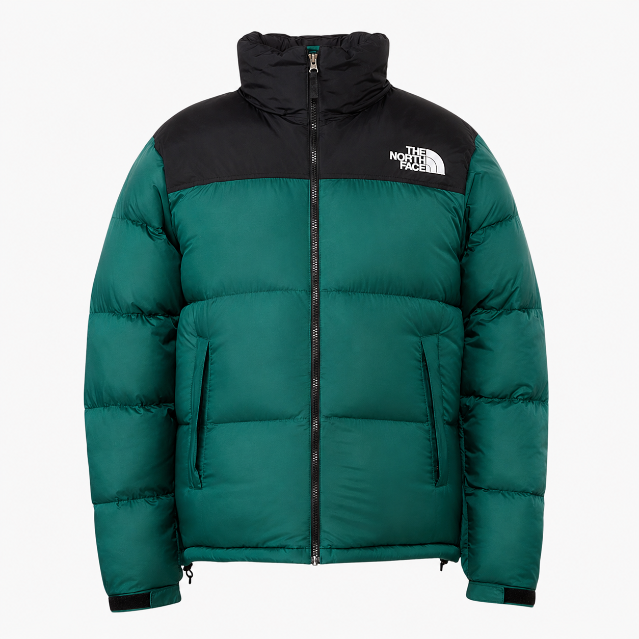The North Face Nuptse 700 Puffer Jacket in Green and Black