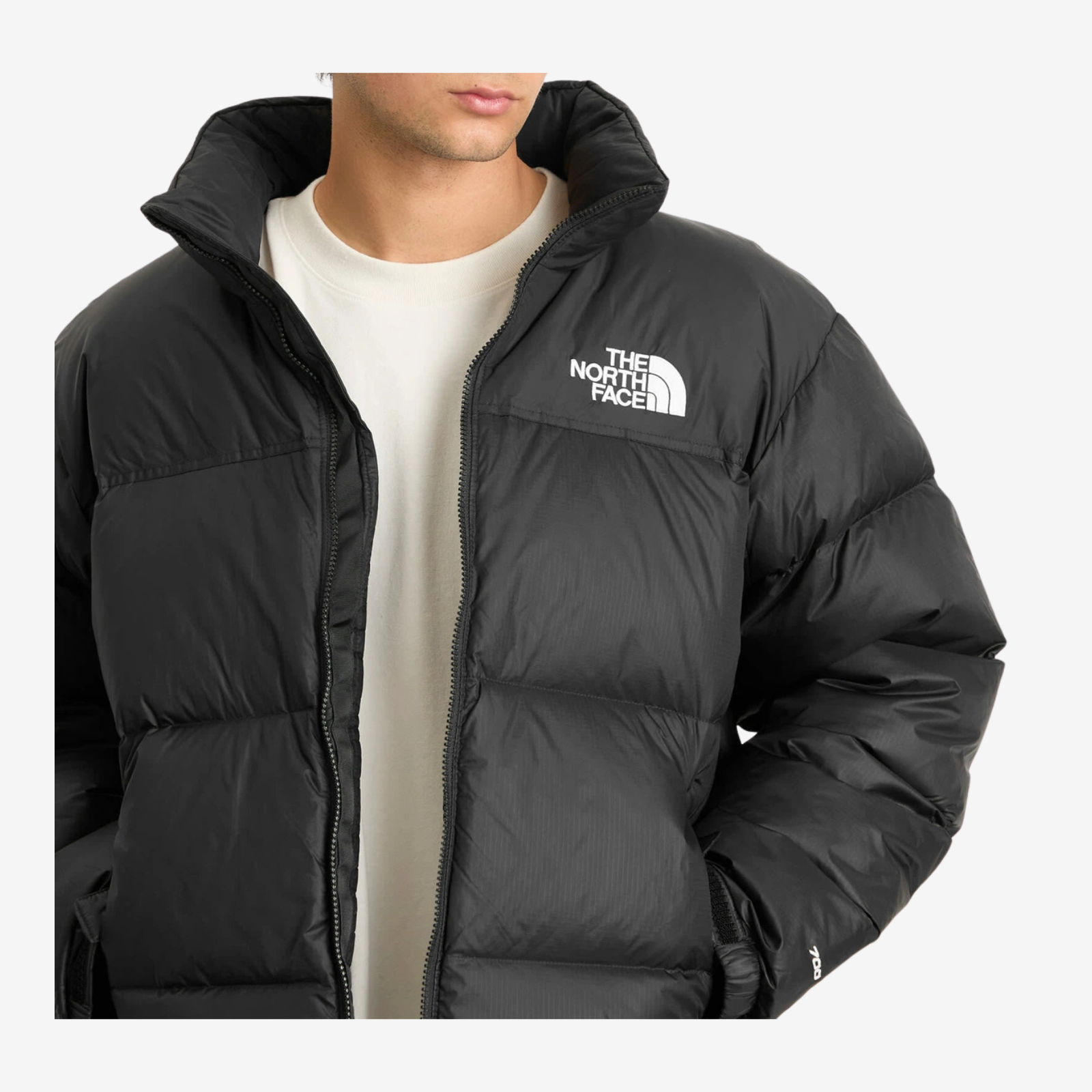 The North Face Nuptse 700 Puffer Jacket in Black - view 3