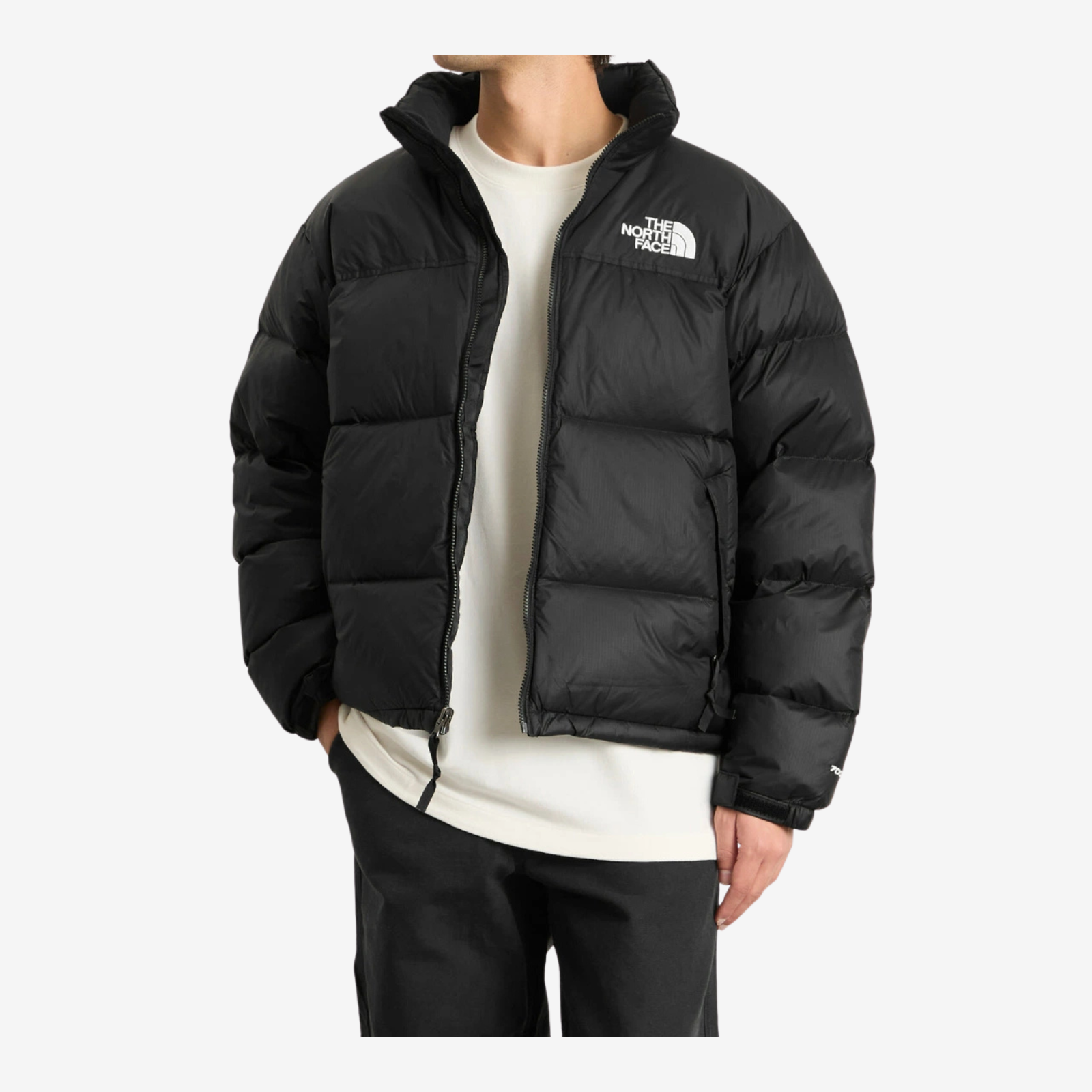 The North Face Nuptse 700 Puffer Jacket in Black - view 4