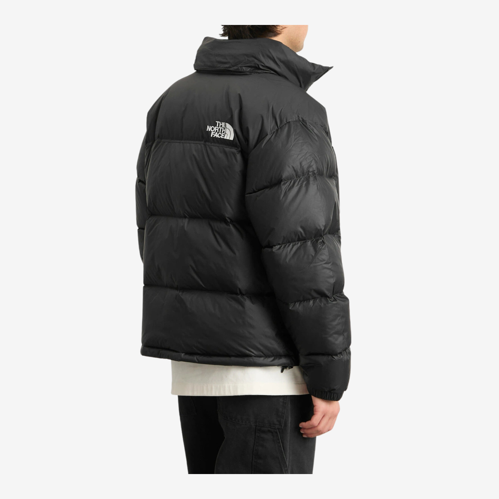 The North Face Nuptse 700 Puffer Jacket in Black - view 5